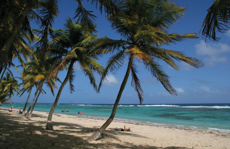 🌴 Une semaine en Guadeloupe : le programme parfait pour découvrir l’île 🌞